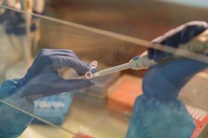 Laboratory analysis of a sample used to illustrate genetic cardiovascular risk testing